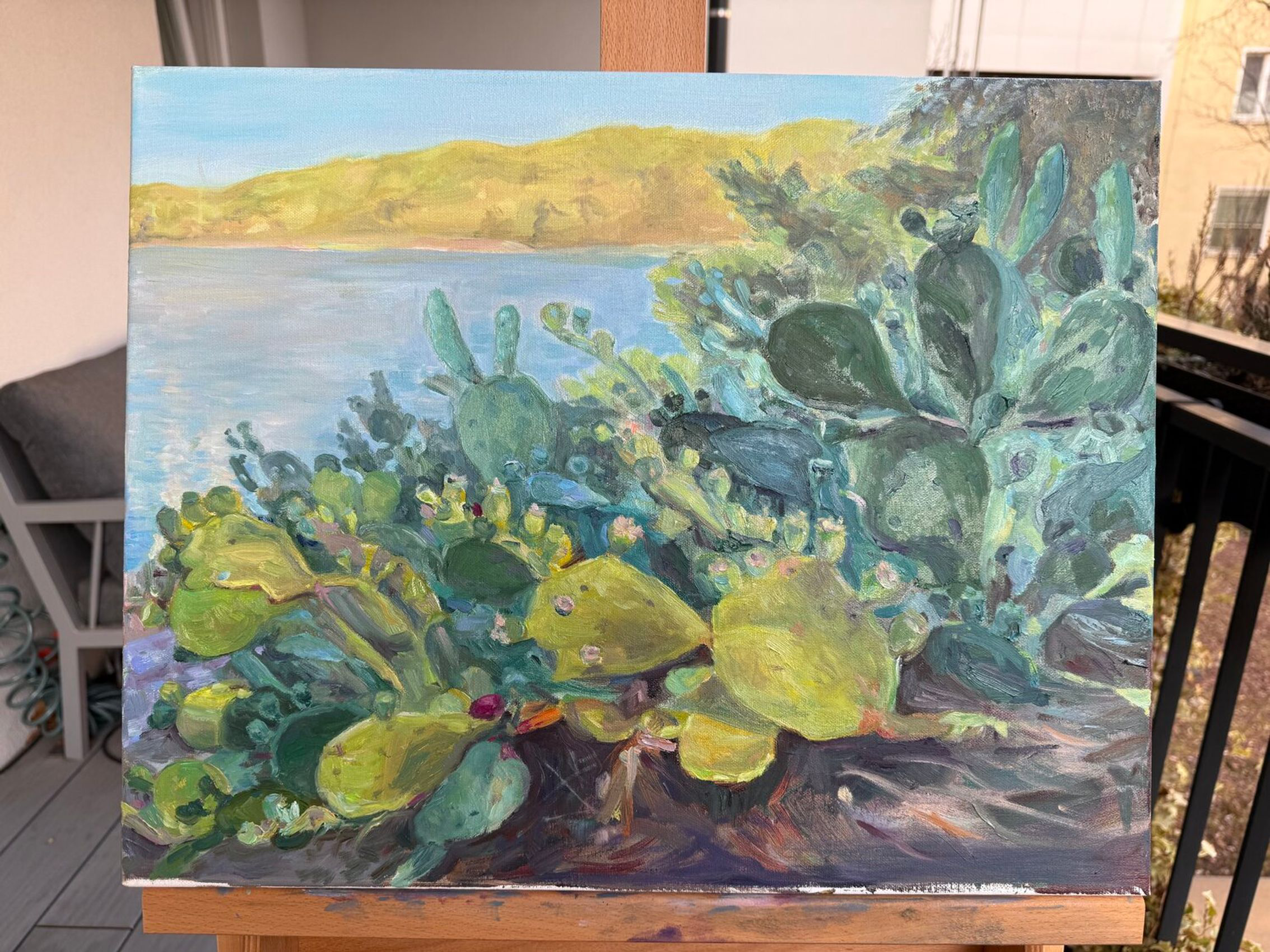 Cactus Serenade - view 2