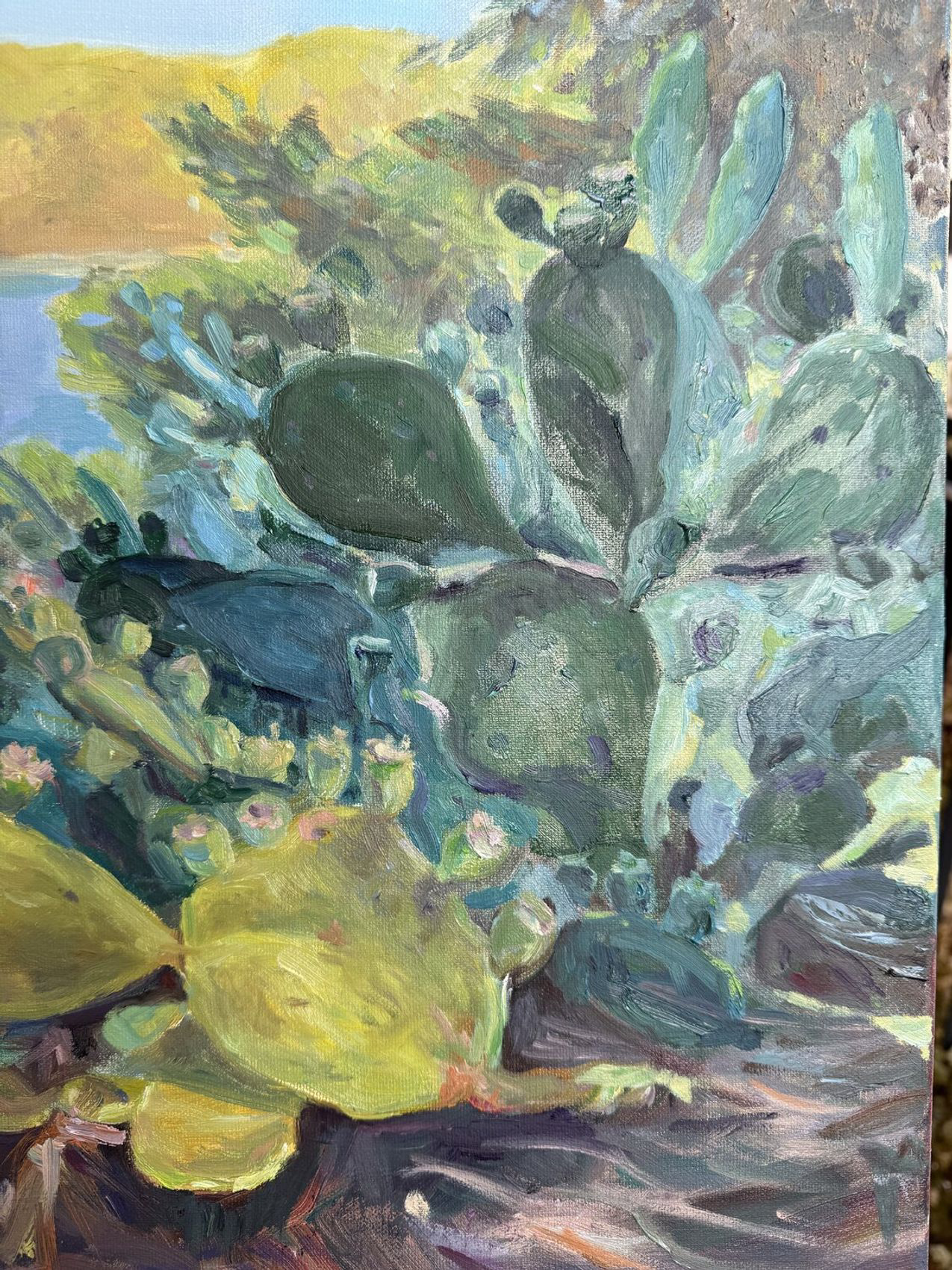 Cactus Serenade - view 3