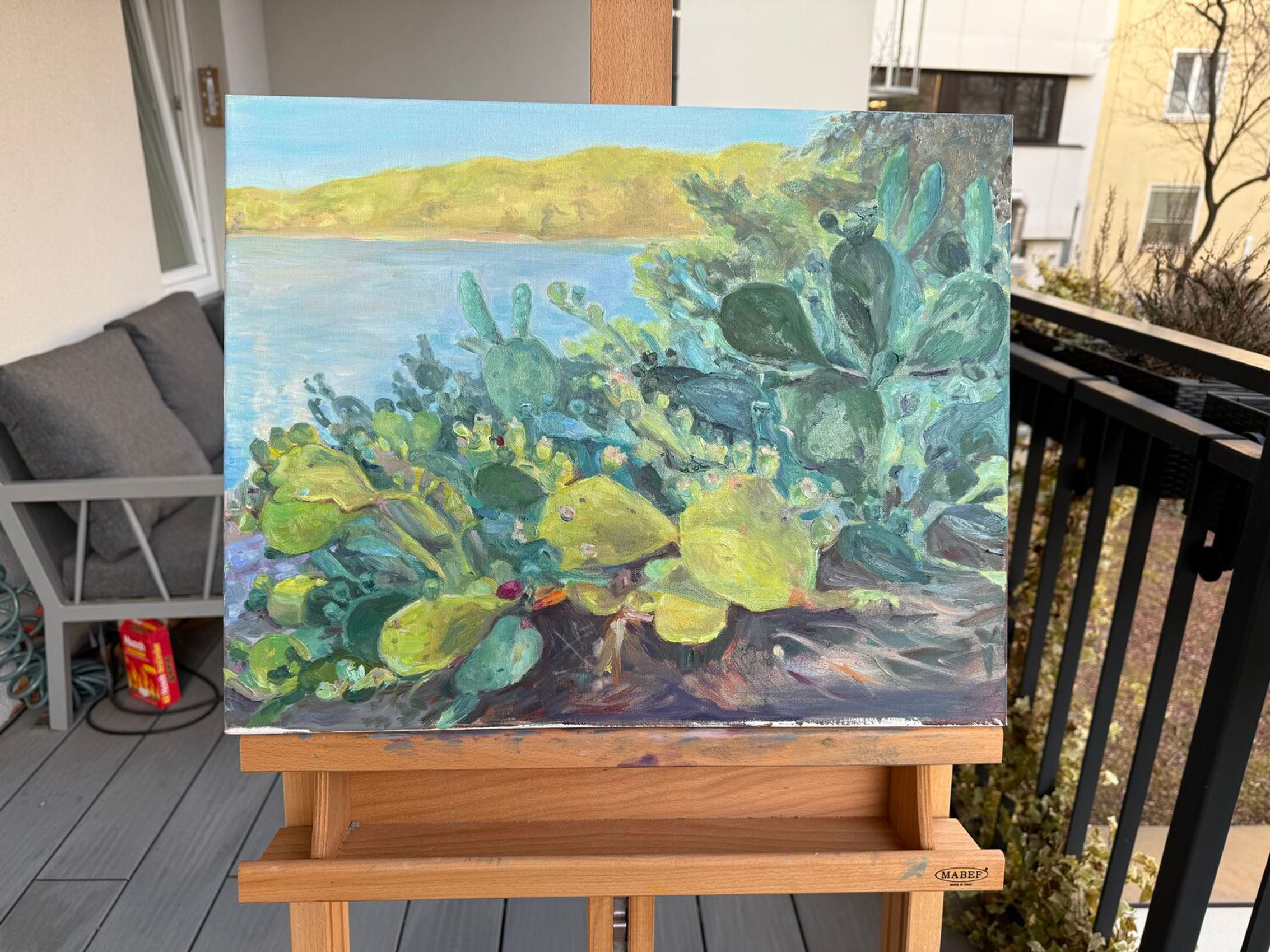 Cactus Serenade - view 6