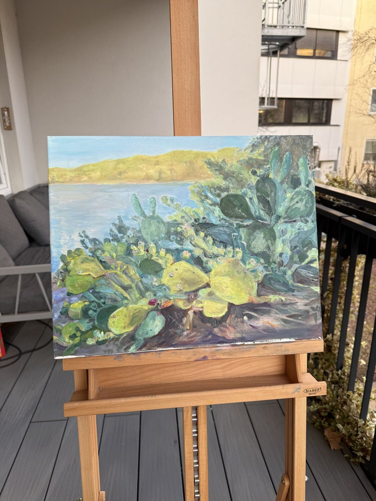 Cactus Serenade - view 7