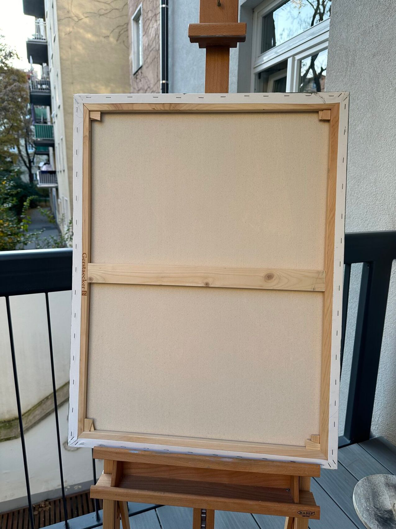 Cosmos Flowers and Humor - view 5