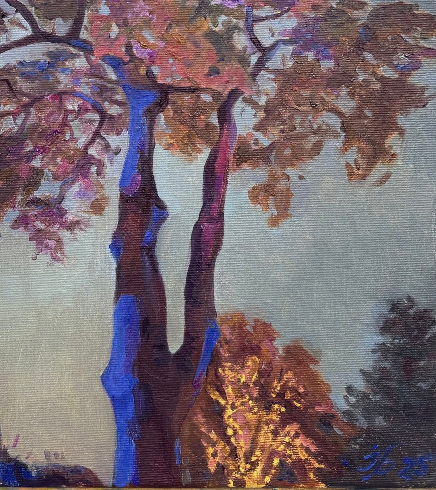 Evening Light at Christmas - view 4