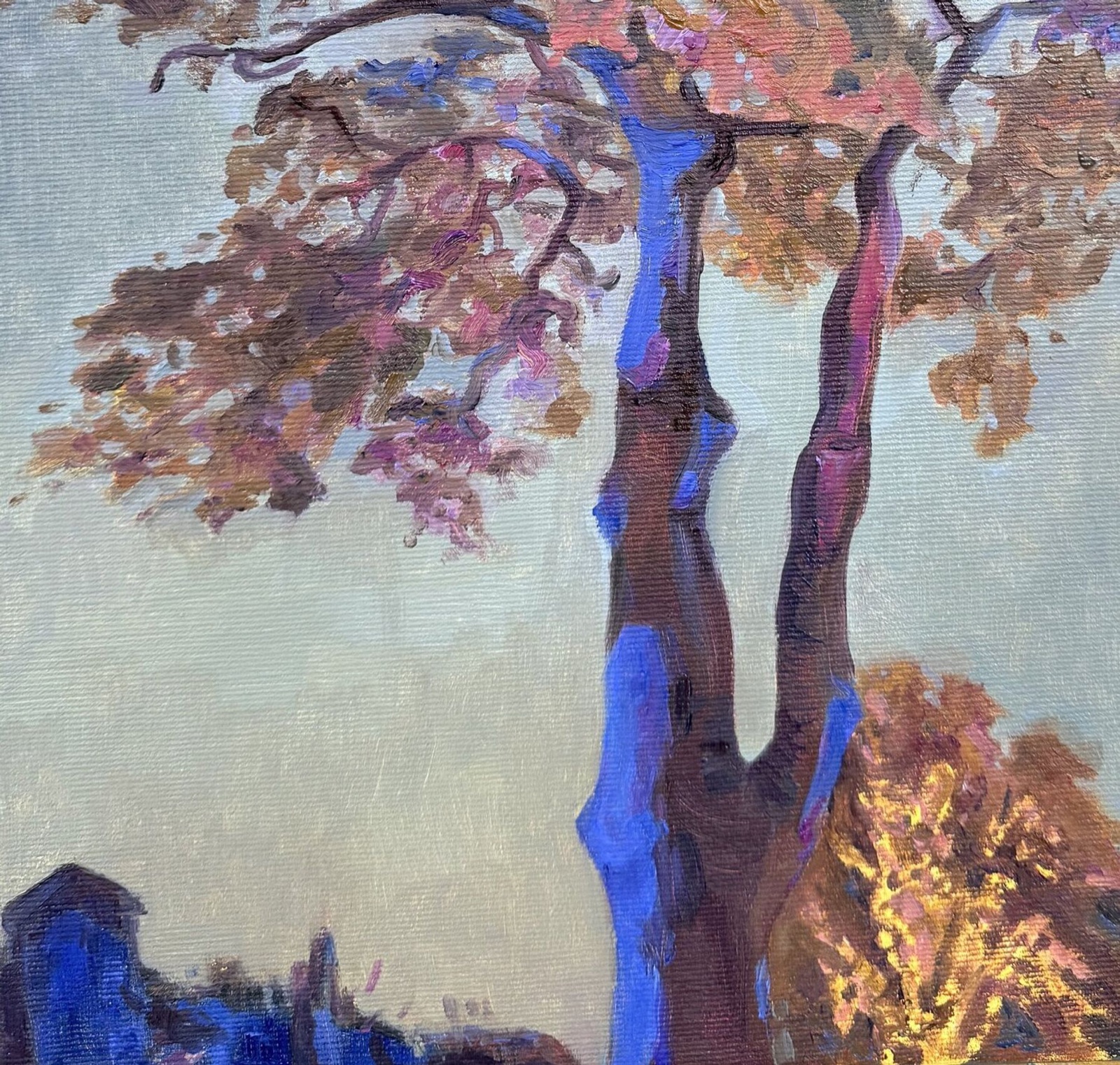 Evening Light at Christmas - view 5