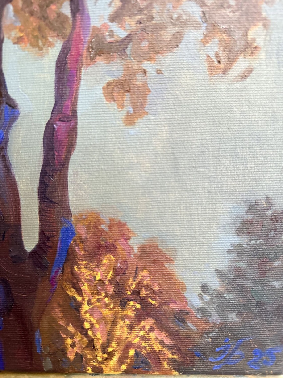 Evening Light at Christmas - view 6