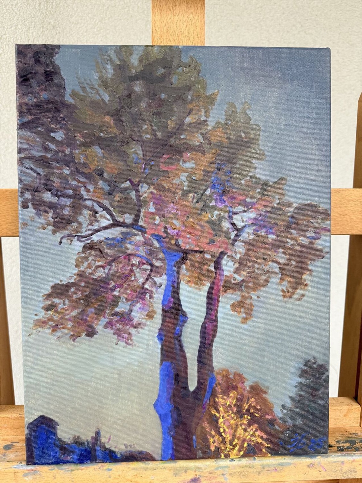 Evening Light at Cristmas - view 3