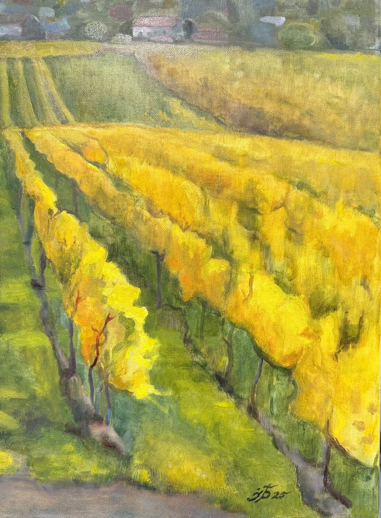 Golden Vineyards of Vienna - view 6