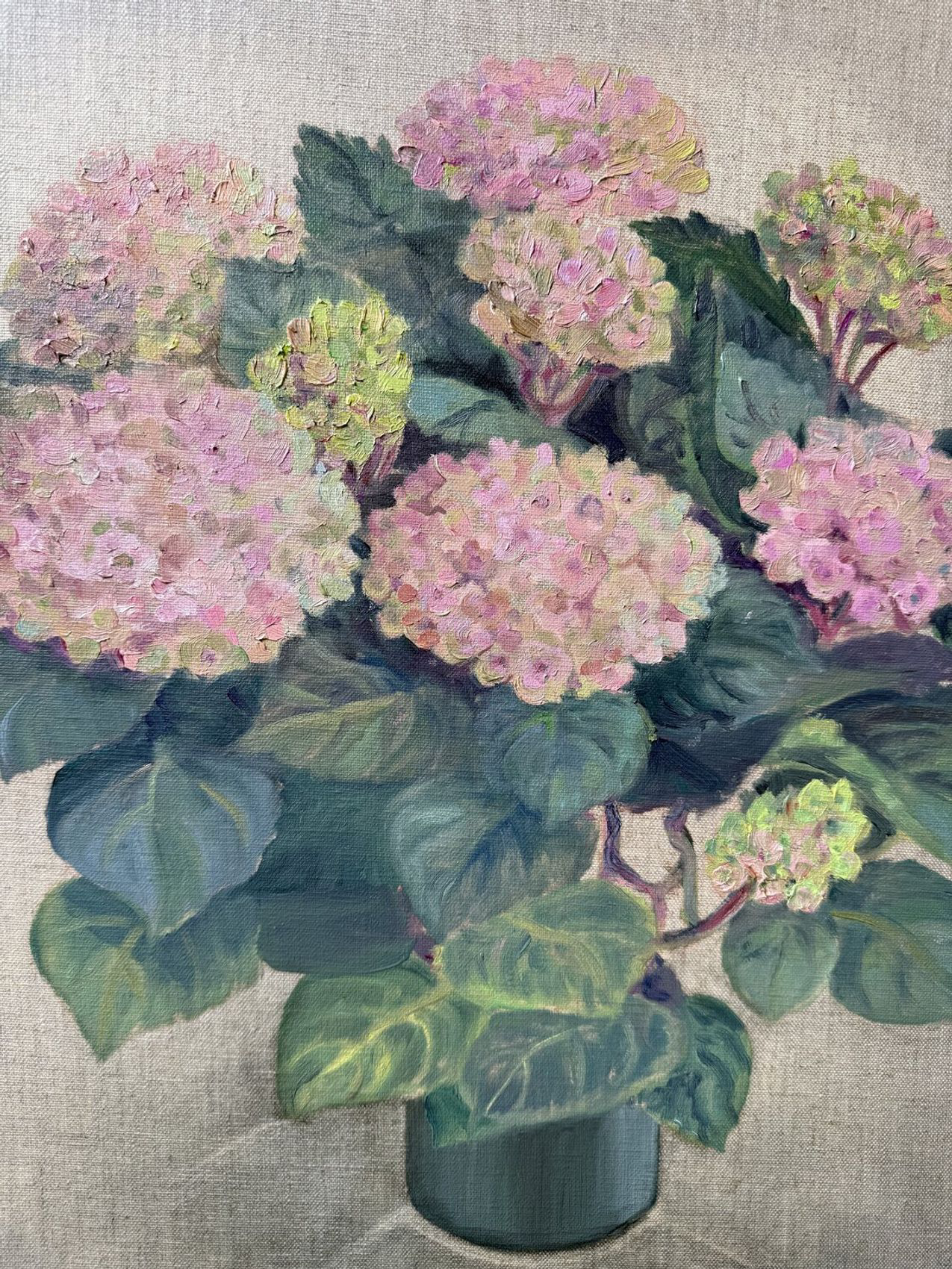 Hydrangea Stillness - view 7