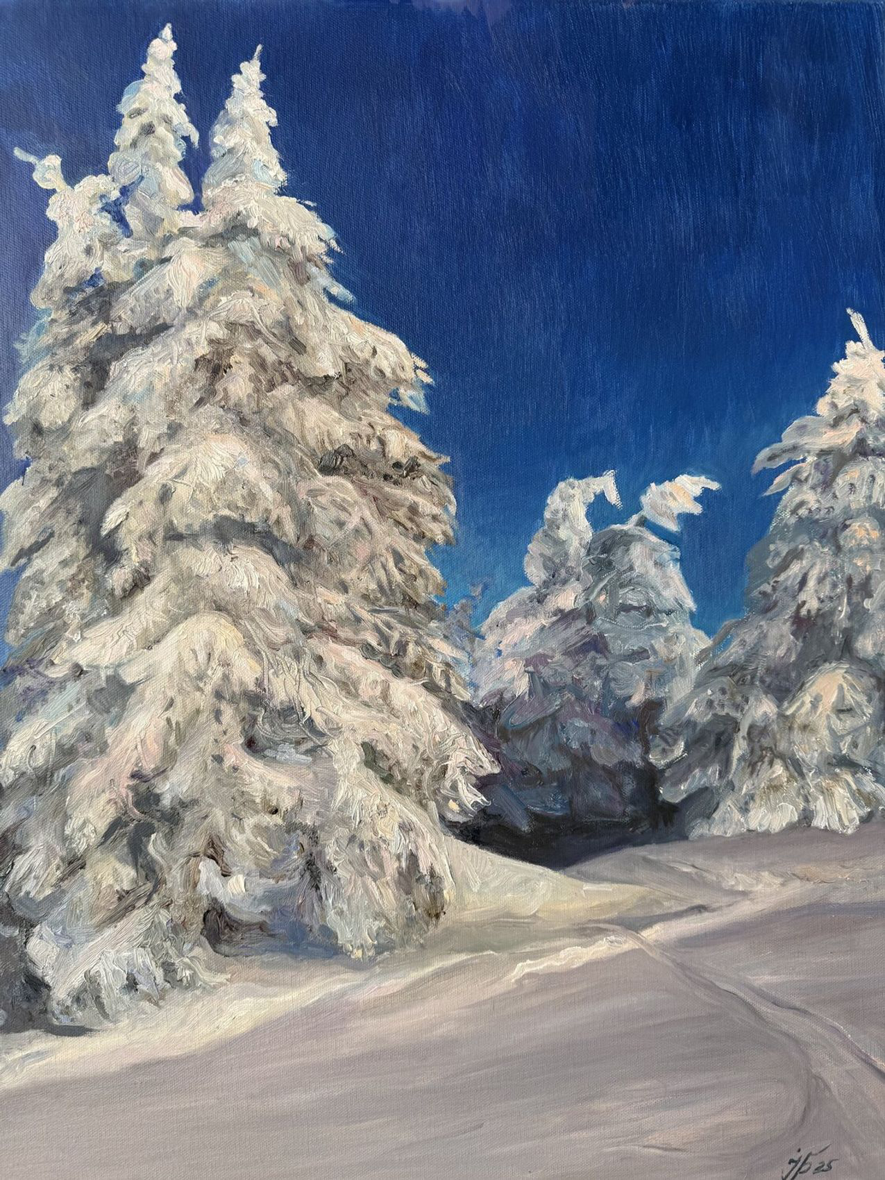 Silent Majesty - view 3