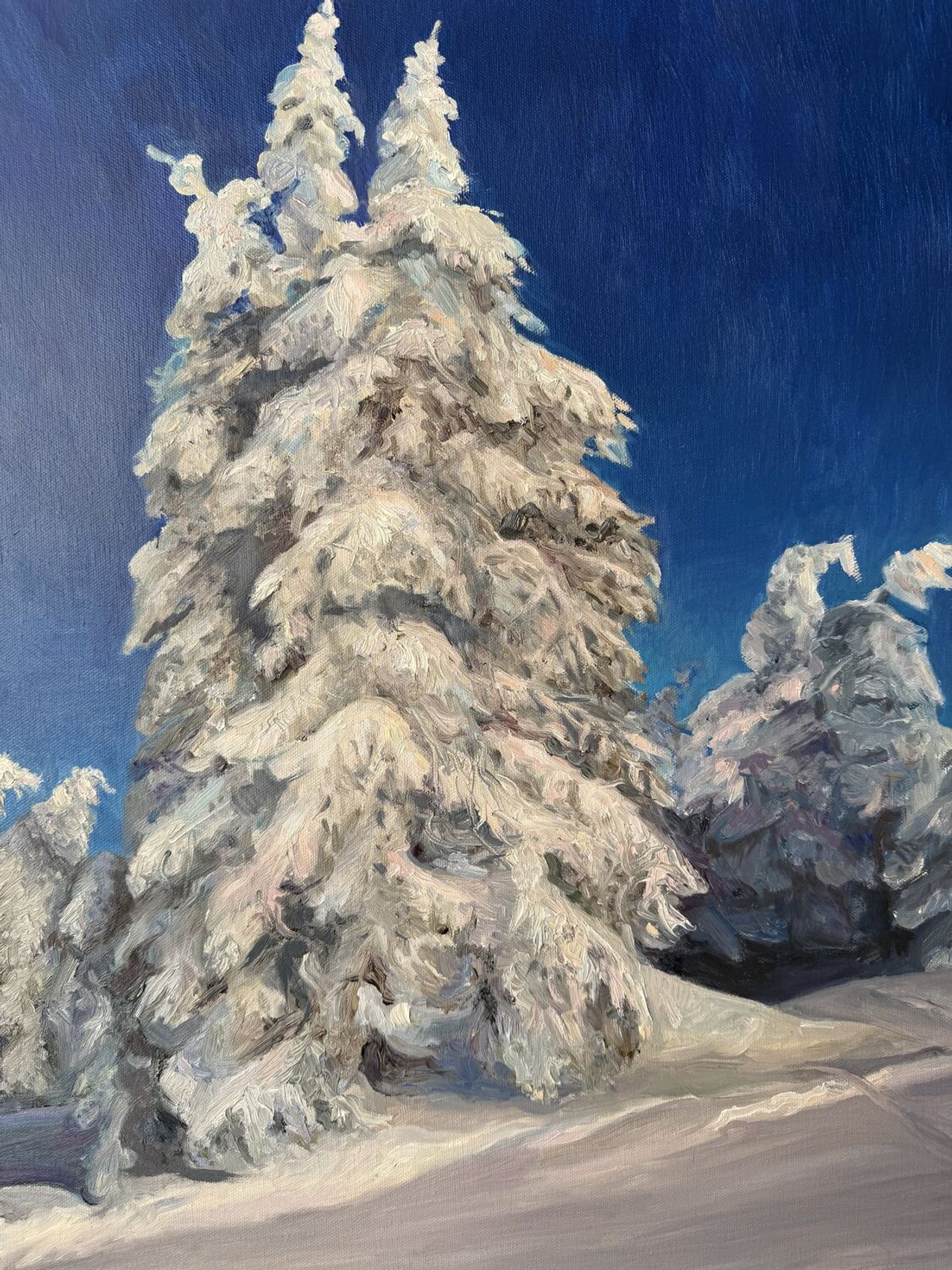 Silent Majesty - view 4