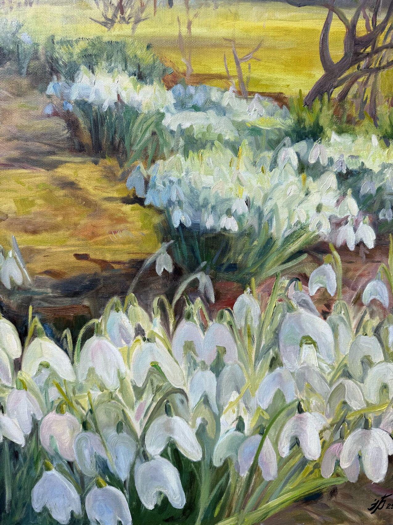 Snowdrop Symphony - view 2