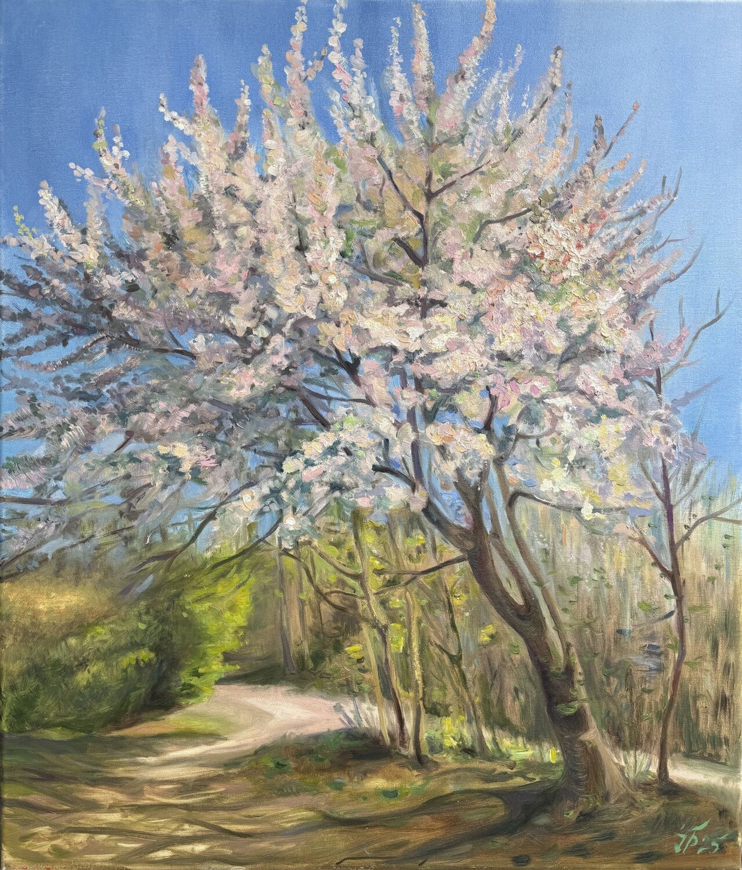 Spring in Blossom - view 3