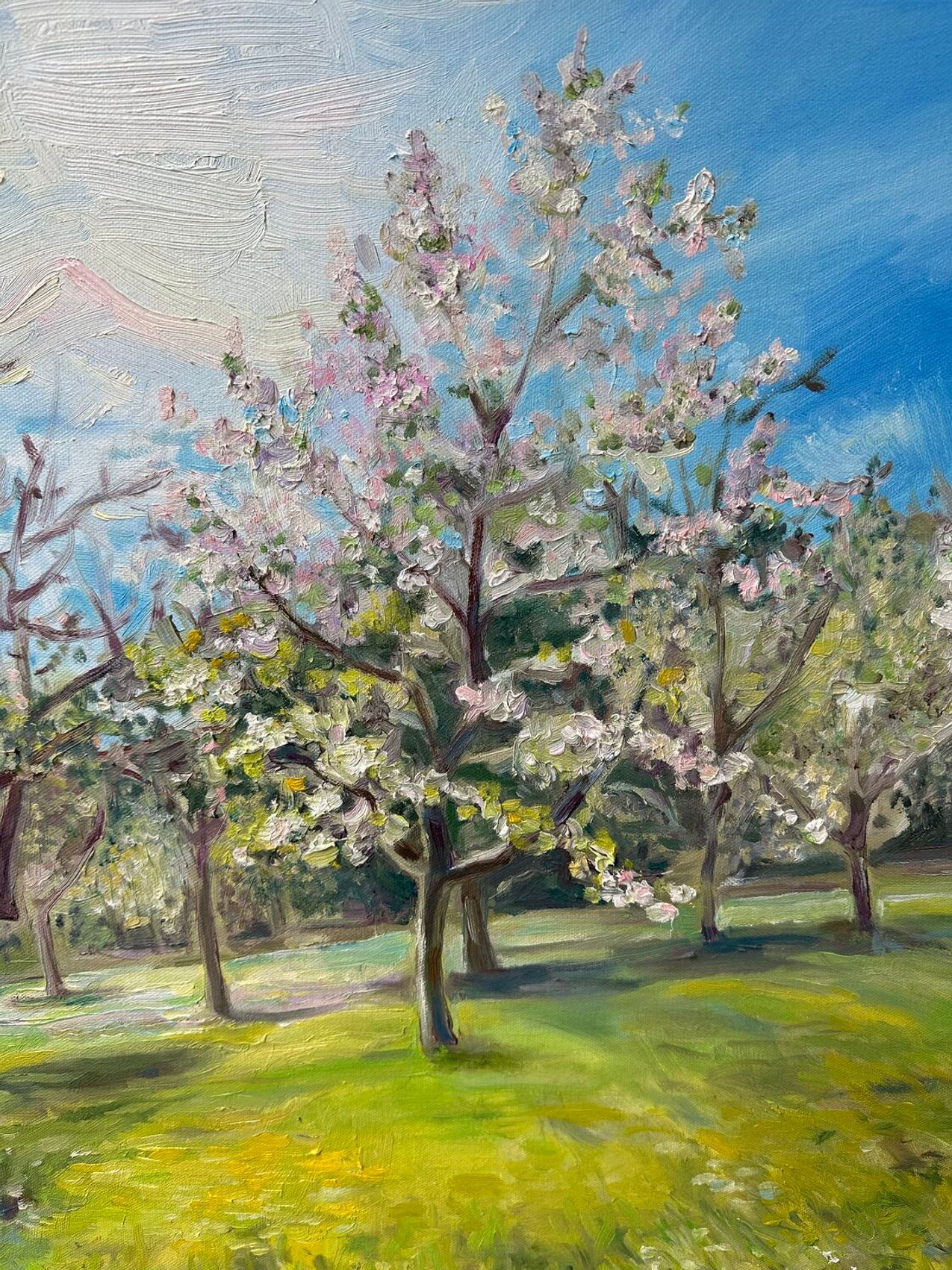 Spring in Vienna - view 5