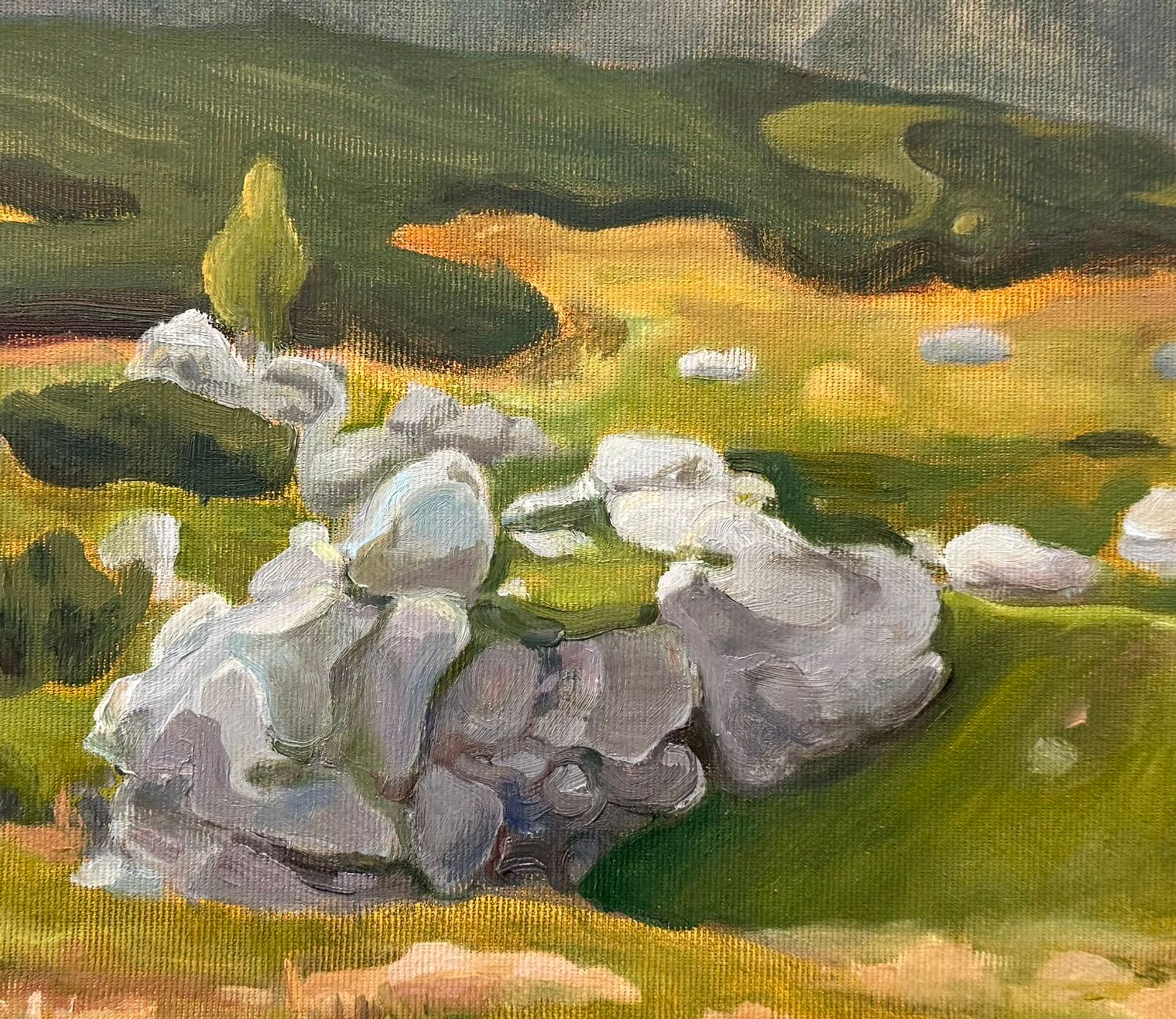 Stormlight Over the Mountain Path