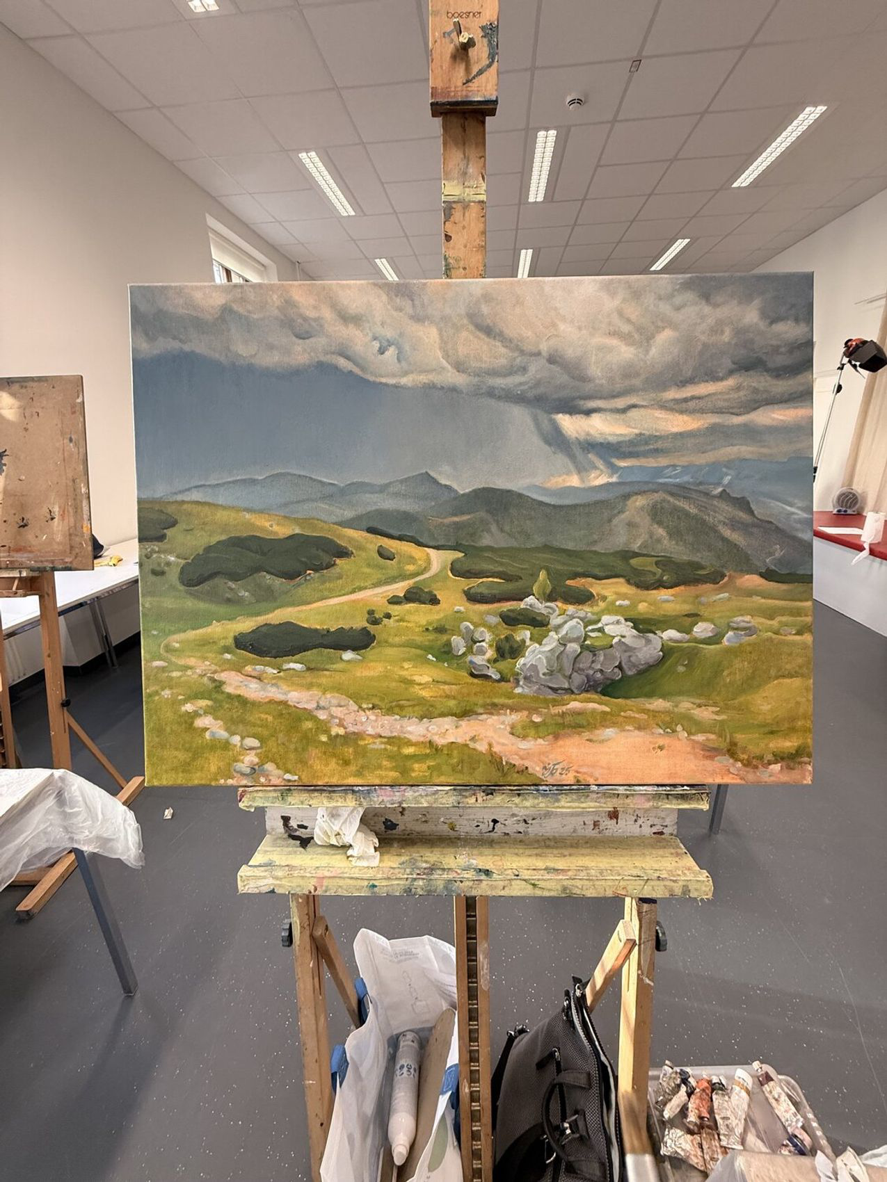 Stormlight Over the Mountain Path - view 2