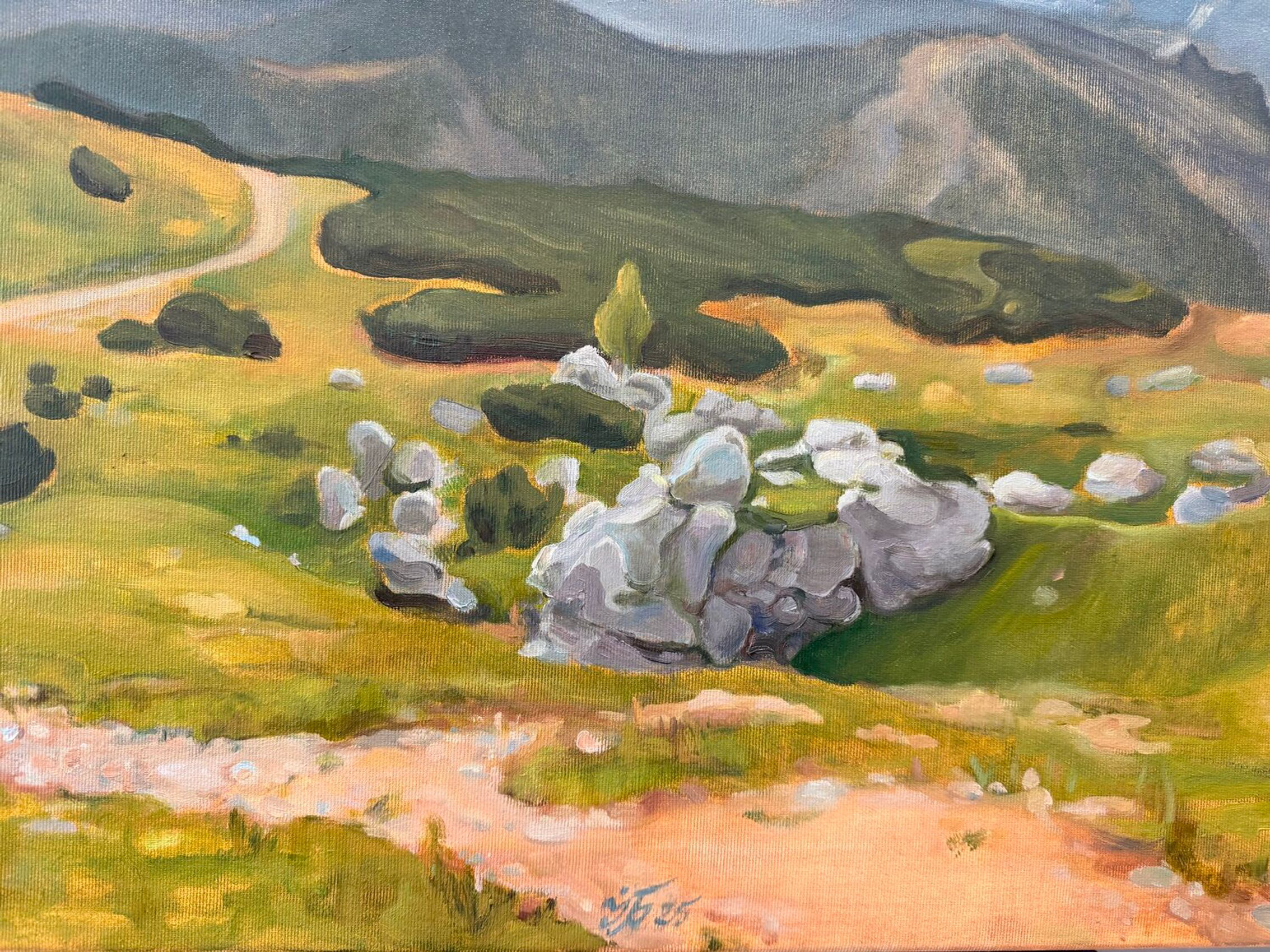 Stormlight Over the Mountain Path - view 5