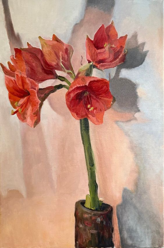 Sunlit Amaryllis - view 2